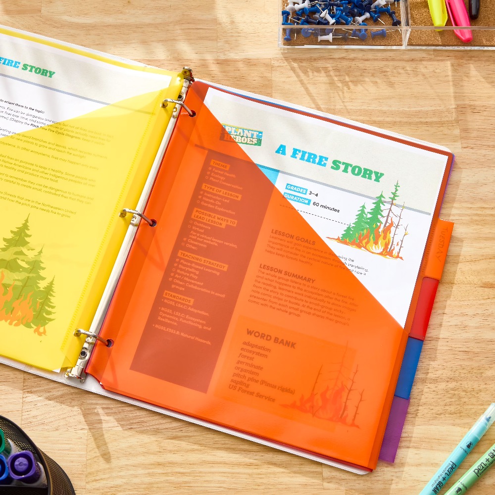 Vibrant Color Index Tab Divide - огляд і ціна Tab Divider A4